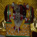 Vraj-Yatra-2014- (1450)